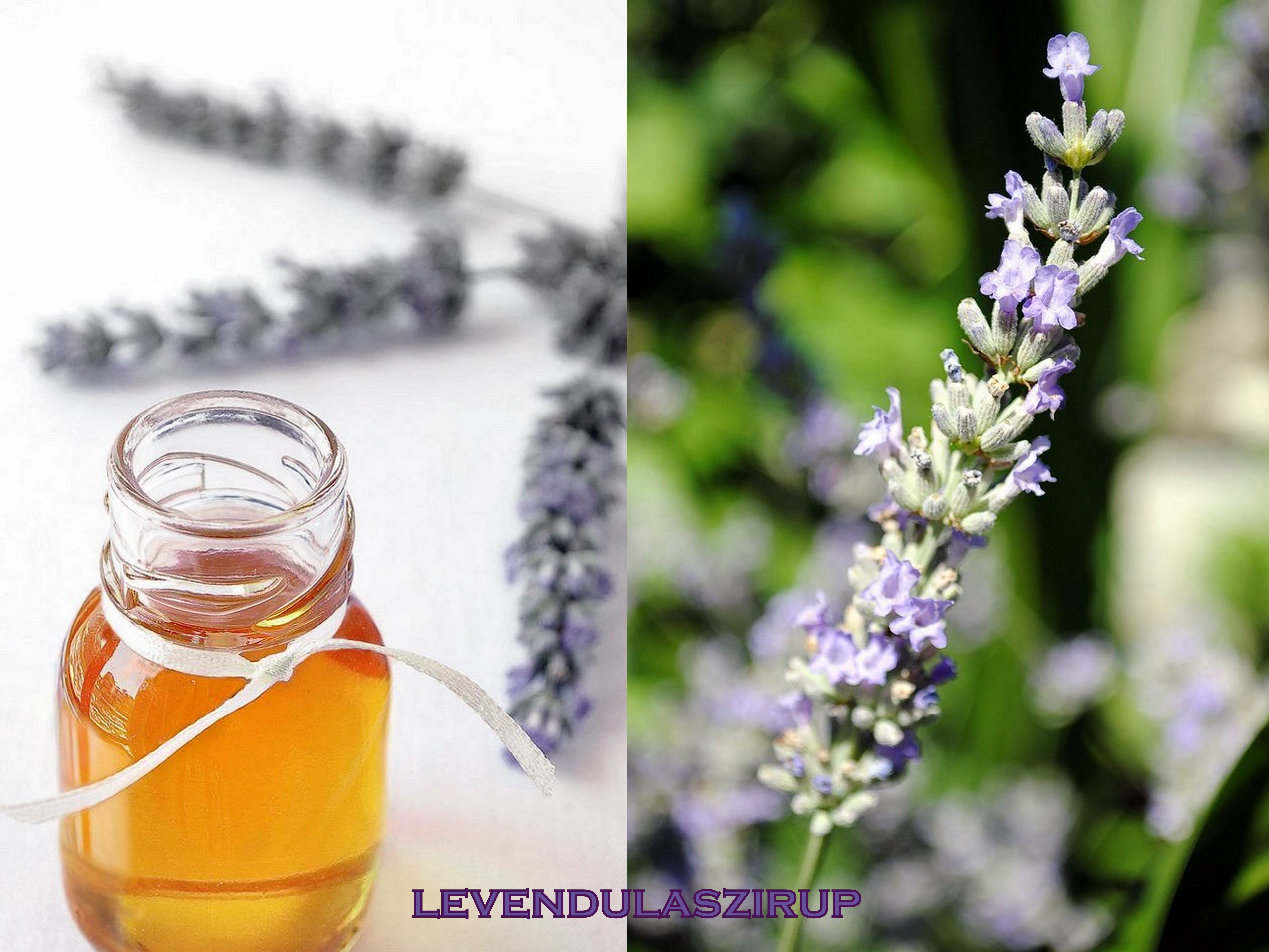 levendulaszirup